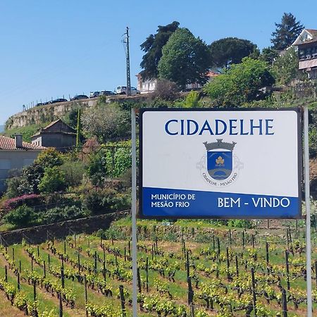 Casa Ceci Douro Villa Cidadelhe  Eksteriør bilde