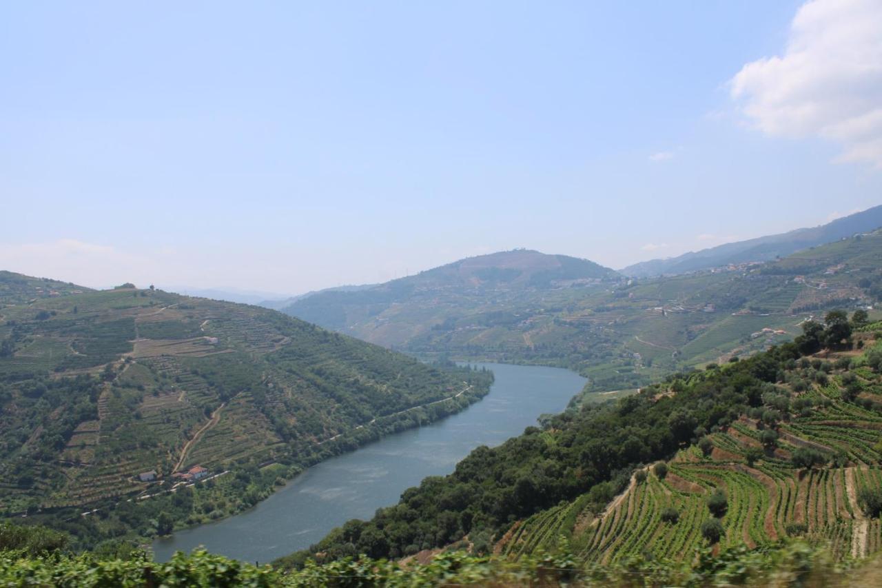 Casa Ceci Douro Villa Cidadelhe  Eksteriør bilde