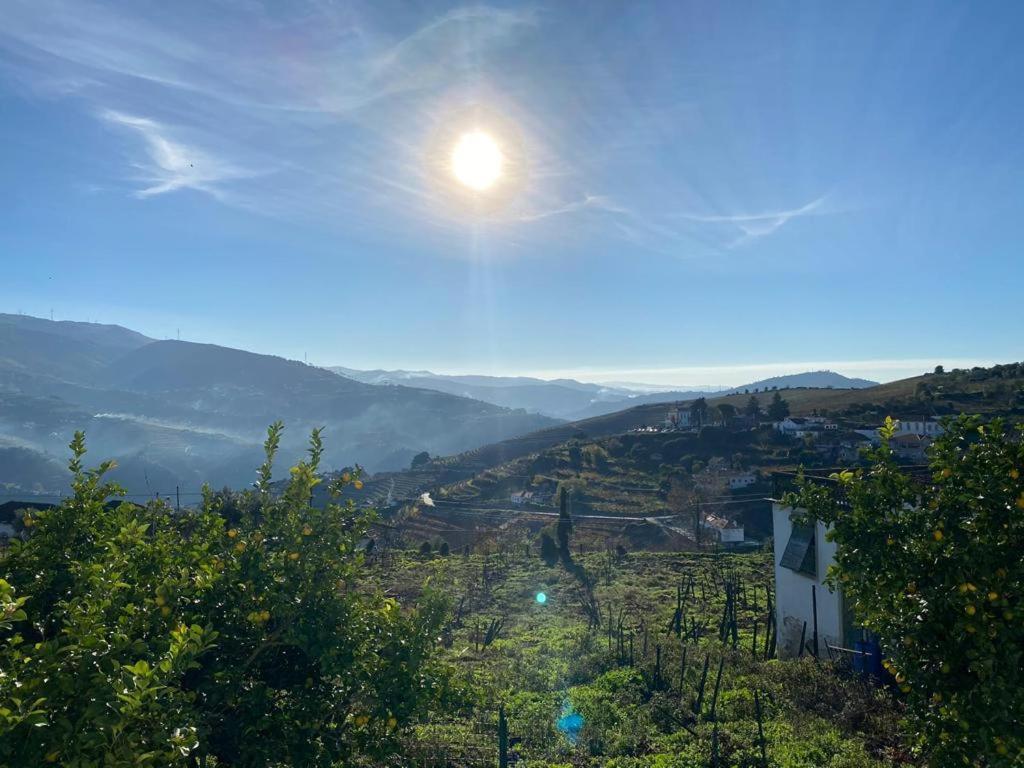 Casa Ceci Douro Villa Cidadelhe  Eksteriør bilde