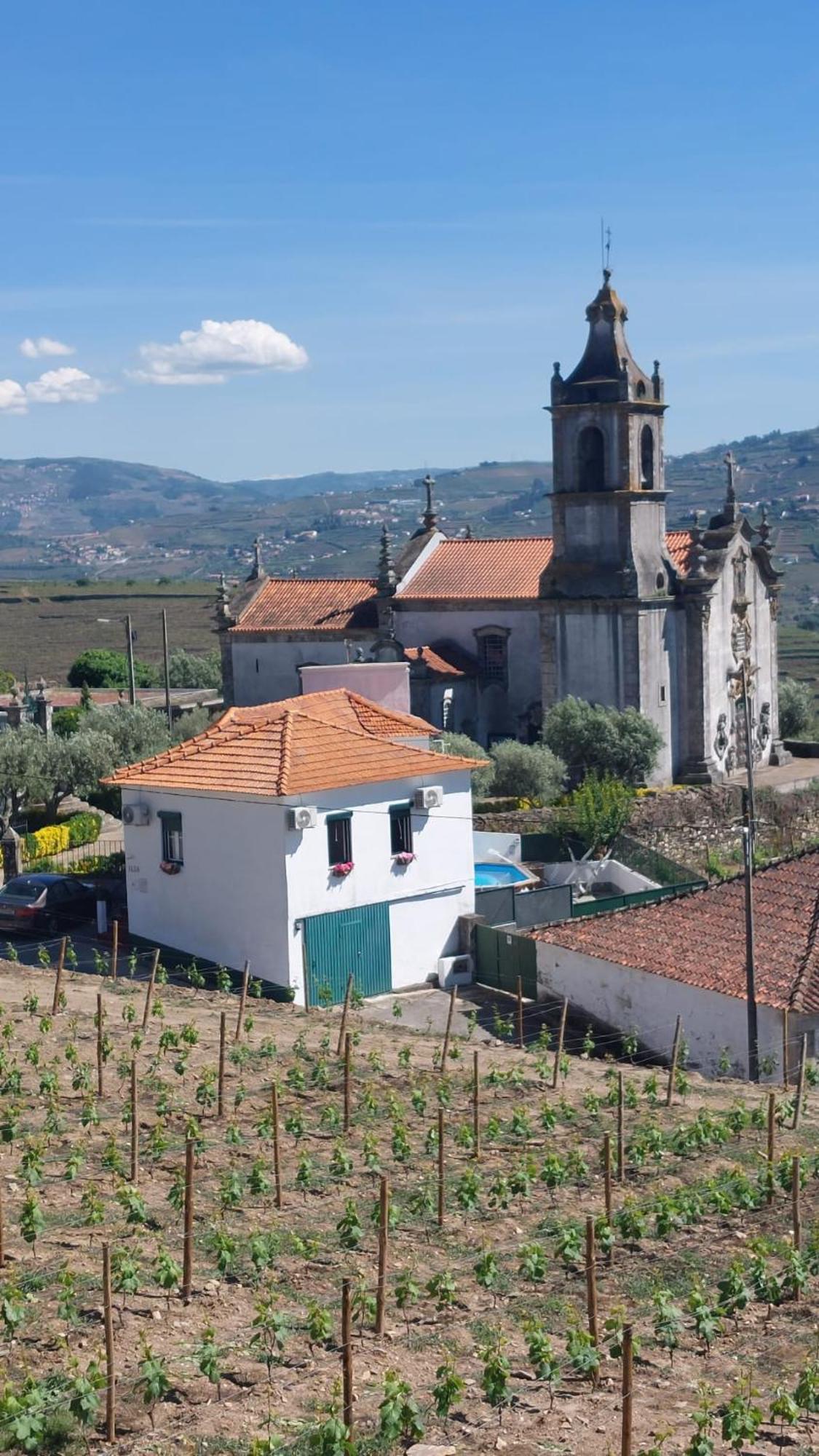 Casa Ceci Douro Villa Cidadelhe  Eksteriør bilde