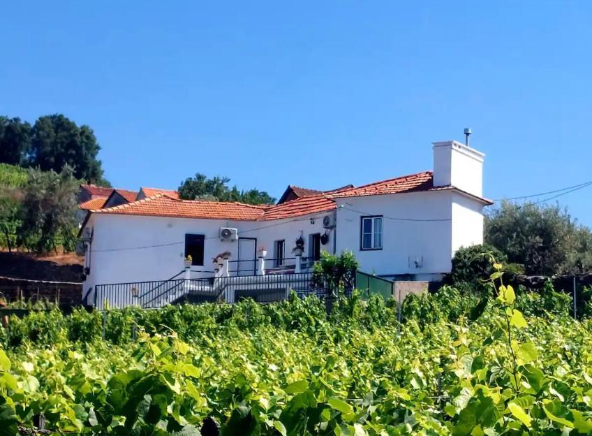 Casa Ceci Douro Villa Cidadelhe  Eksteriør bilde